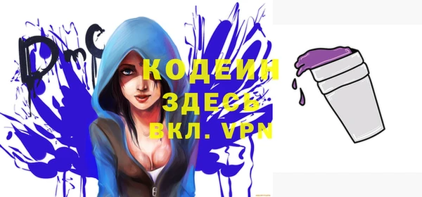крисы Бородино