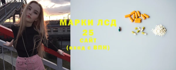 крисы Бородино