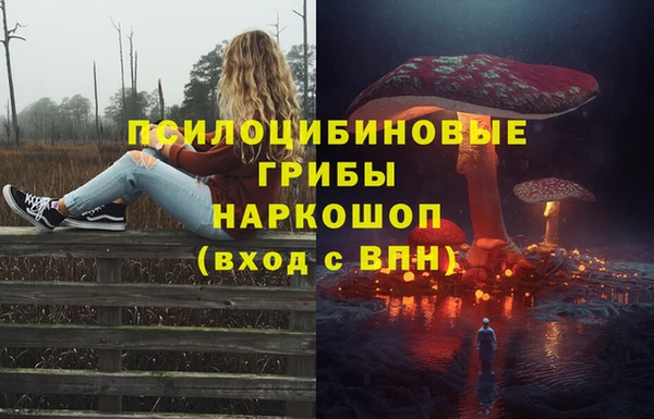 МДМА Богданович