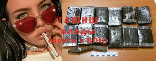 крисы Бородино