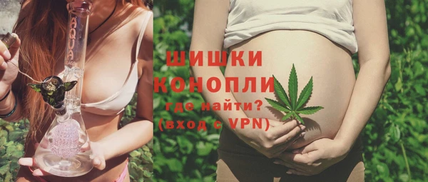 ПСИЛОЦИБИНОВЫЕ ГРИБЫ Богородицк