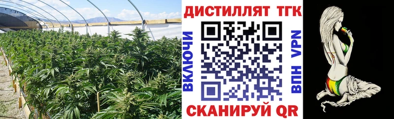 блэк спрут вход  Обь  Дистиллят ТГК вейп  закладки 